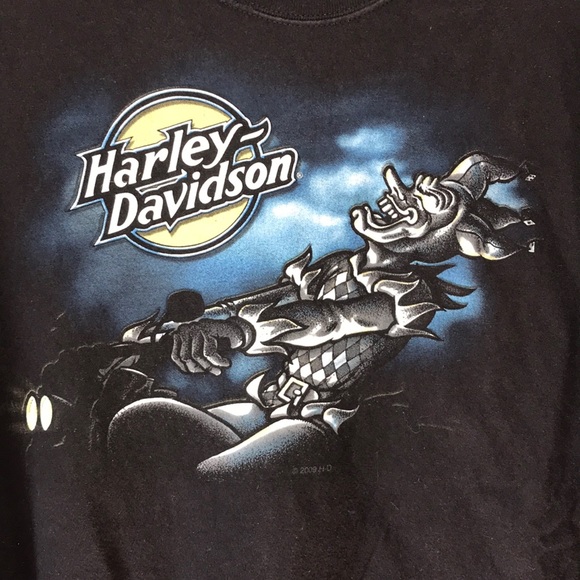 Other - XL Eagle’s Nest Harley Davidson t-shirt